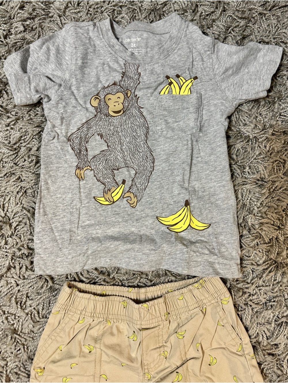 Carter's Gray Tee with Brown Monkey Graphic
